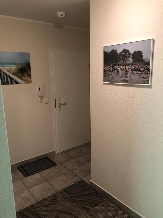Darsser Weg 38a Zingst Eksteriør bilde